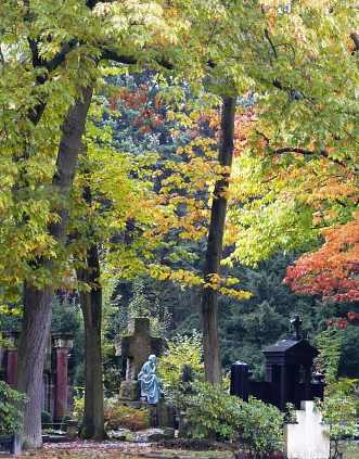 Alte Bäume und Grabmale auf dem Nordfriedhof
