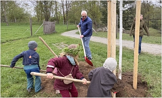 Bürgermeister Dr. Ulrich Kumme pflanzte mit Kindern des Waldkindergartens „Mamamiti“ eine Zitterpappel im Wildgatter.