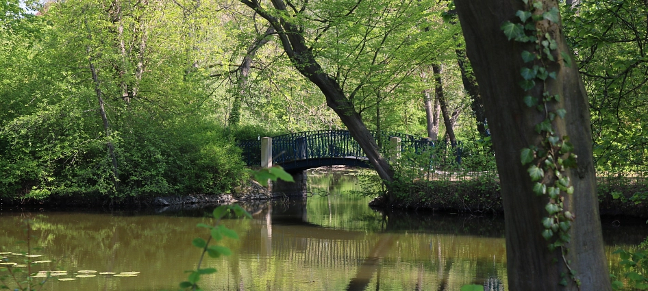 Brücke im Ernst-Ehrlicher-Park © Stadt Hildesheim
