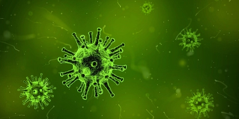 Coronavirus mikroskopisch vergrößert © pixaby