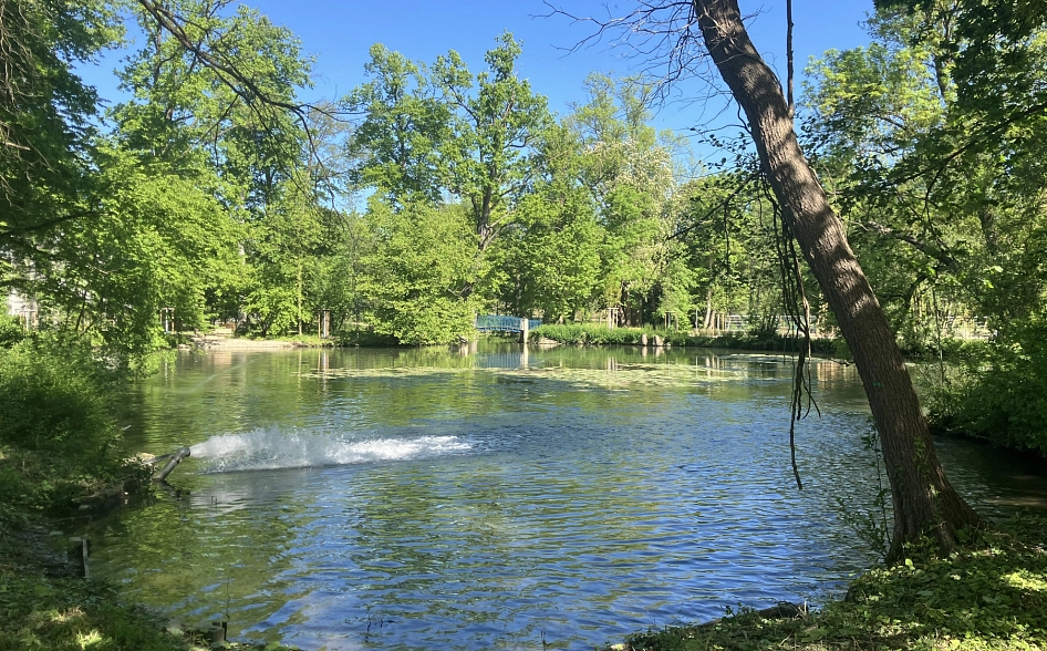 Der 2025 wiedereröffnete Ernst-Ehrlicher-Park ist ein Kleinod inmitten Hildesheims.