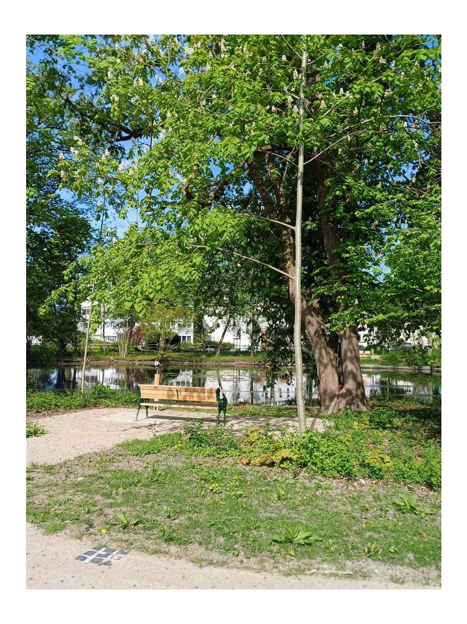 Eindrücke nach Fertigstellung2_144dpi_75%.jpg