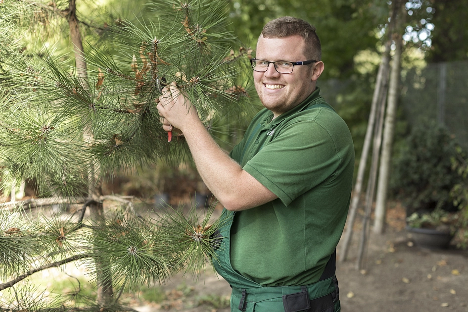Grünschnitt&nbsp;&copy;&nbsp;Stadt Hildesheim