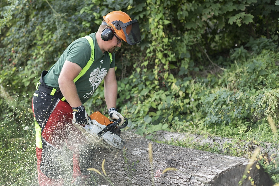 Motorsäge&nbsp;&copy;&nbsp;Stadt Hildesheim