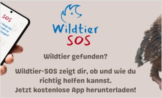 Die Wildtier-SOS-App hilft Tieren in Not und den Menschen, die sie finden.